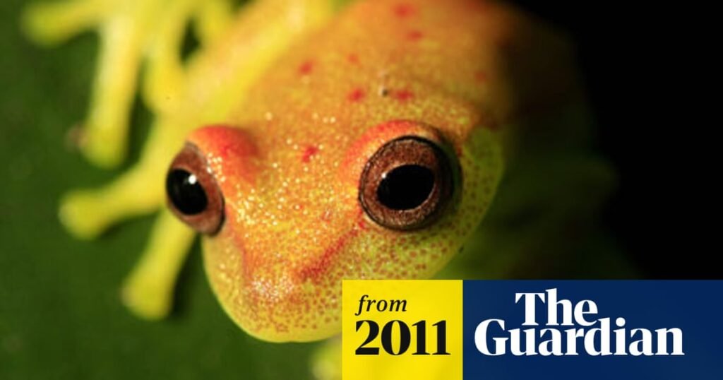 Why Amphibians are More Vulnerable to Extinction? - AMPHIPEDIA