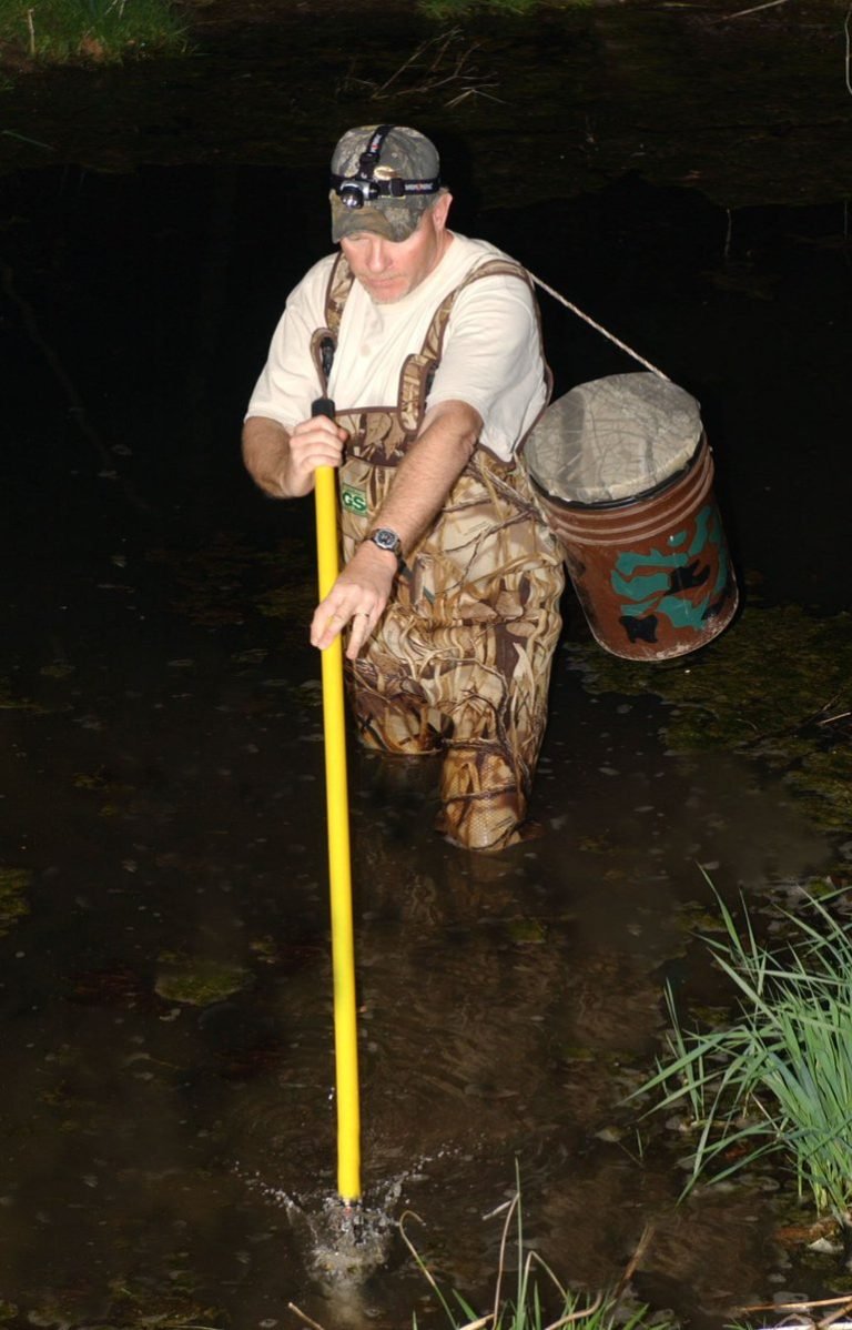 When is Frog Gigging Season in Ohio? AMPHIPEDIA